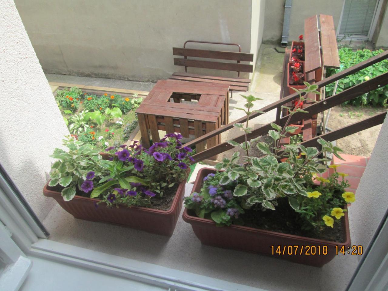 Kuca Popovic Apartments Ni Dış mekan fotoğraf