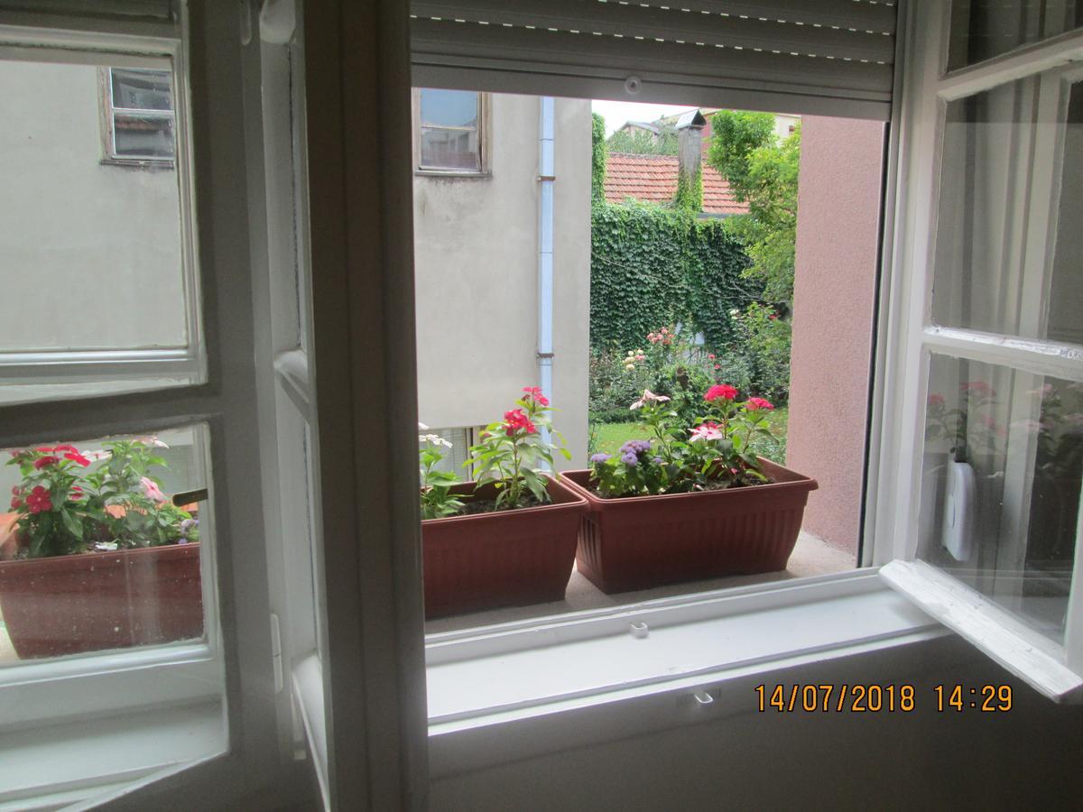 Kuca Popovic Apartments Ni Dış mekan fotoğraf